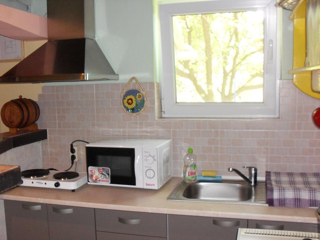 Villa Anna Palić Habitación foto